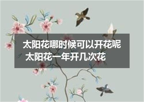 太阳花哪时候可以开花呢 太阳花一年开几次花