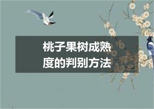 桃子果树成熟度的判别方法