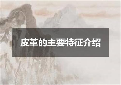 皮革的主要特征介绍