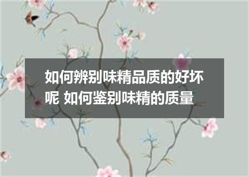 如何辨别味精品质的好坏呢 如何鉴别味精的质量