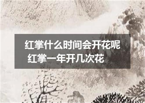 红掌什么时间会开花呢 红掌一年开几次花