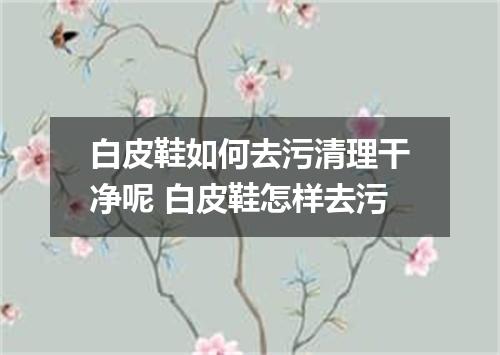 白皮鞋如何去污清理干净呢 白皮鞋怎样去污