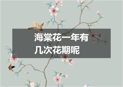 海棠花一年有几次花期呢