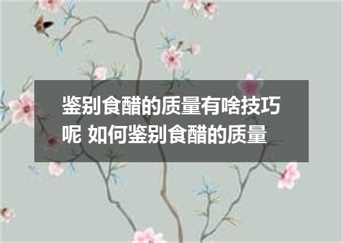 鉴别食醋的质量有啥技巧呢 如何鉴别食醋的质量