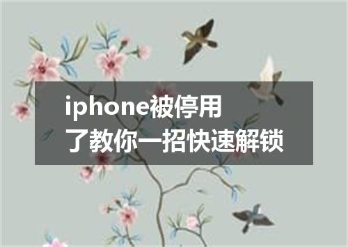 iphone被停用了教你一招快速解锁