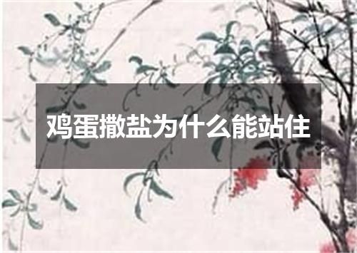 鸡蛋撒盐为什么能站住