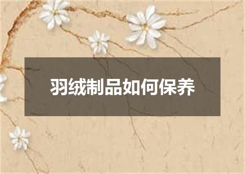 羽绒制品如何保养