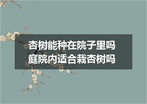 杏树能种在院子里吗 庭院内适合栽杏树吗