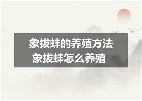 象拔蚌的养殖方法 象拔蚌怎么养殖