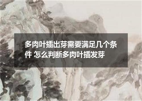 多肉叶插出芽需要满足几个条件 怎么判断多肉叶插发芽