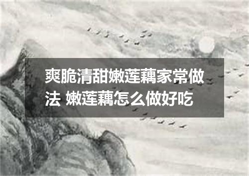 爽脆清甜嫩莲藕家常做法 嫩莲藕怎么做好吃