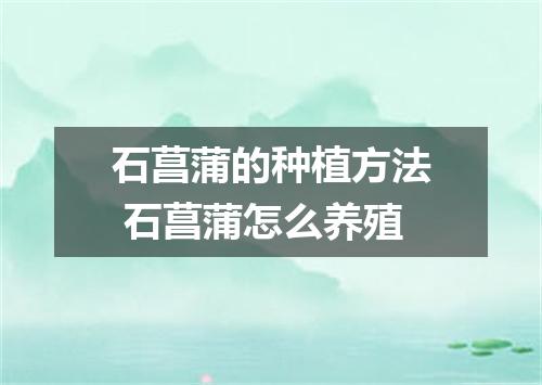 石菖蒲的种植方法 石菖蒲怎么养殖