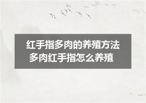 红手指多肉的养殖方法 多肉红手指怎么养殖