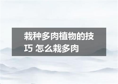 栽种多肉植物的技巧 怎么栽多肉
