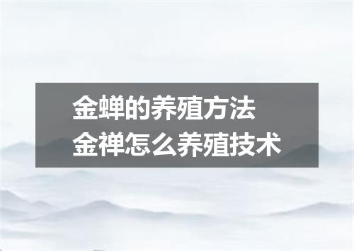 金蝉的养殖方法 金禅怎么养殖技术