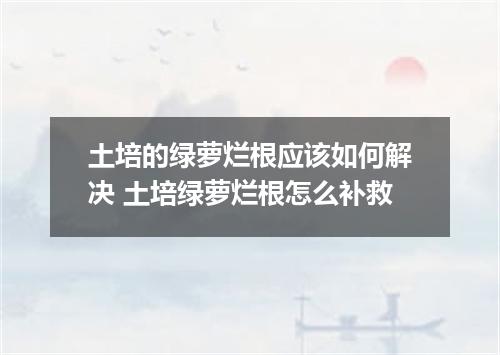 土培的绿萝烂根应该如何解决 土培绿萝烂根怎么补救