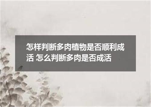 怎样判断多肉植物是否顺利成活 怎么判断多肉是否成活
