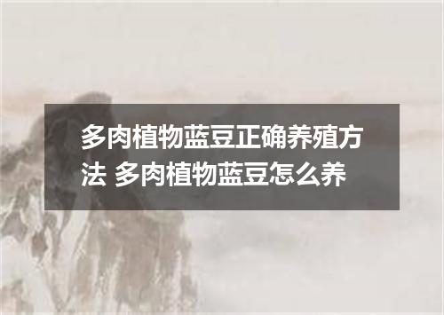 多肉植物蓝豆正确养殖方法 多肉植物蓝豆怎么养