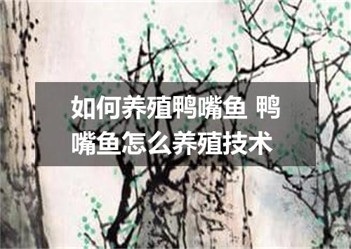 如何养殖鸭嘴鱼 鸭嘴鱼怎么养殖技术