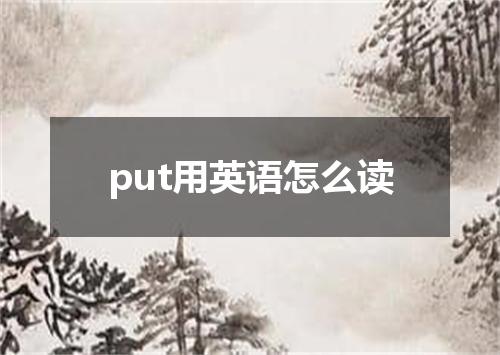 put用英语怎么读