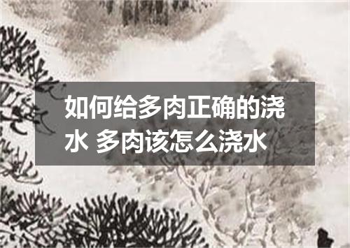 如何给多肉正确的浇水 多肉该怎么浇水