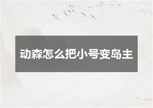 动森怎么把小号变岛主