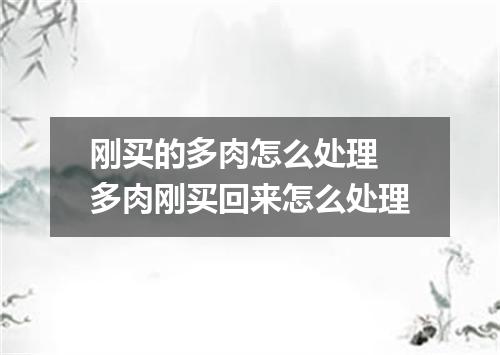 刚买的多肉怎么处理 多肉刚买回来怎么处理