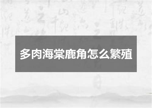 多肉海棠鹿角怎么繁殖