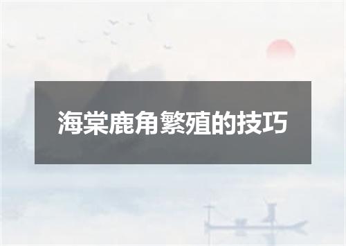 海棠鹿角繁殖的技巧