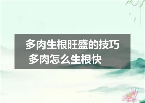 多肉生根旺盛的技巧 多肉怎么生根快