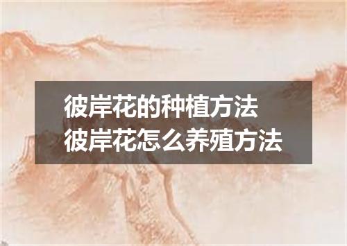 彼岸花的种植方法 彼岸花怎么养殖方法