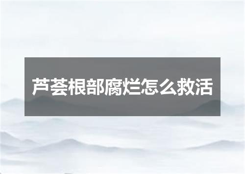 芦荟根部腐烂怎么救活