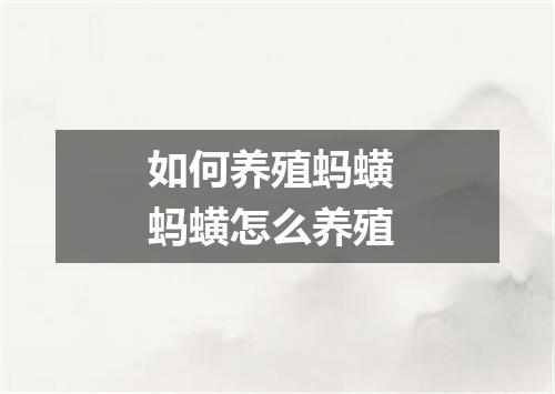 如何养殖蚂蟥 蚂蟥怎么养殖