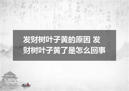 发财树叶子黄的原因 发财树叶子黄了是怎么回事