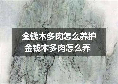 金钱木多肉怎么养护 金钱木多肉怎么养