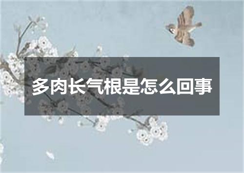 多肉长气根是怎么回事