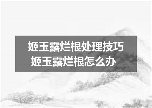 姬玉露烂根处理技巧 姬玉露烂根怎么办