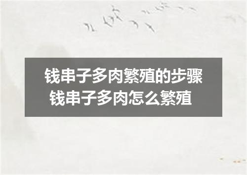 钱串子多肉繁殖的步骤 钱串子多肉怎么繁殖