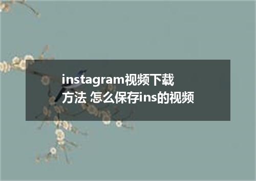 instagram视频下载方法 怎么保存ins的视频