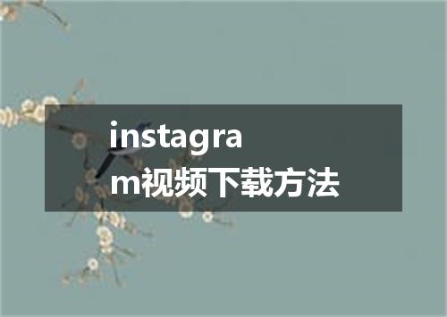 instagram视频下载方法