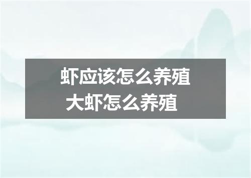 虾应该怎么养殖 大虾怎么养殖