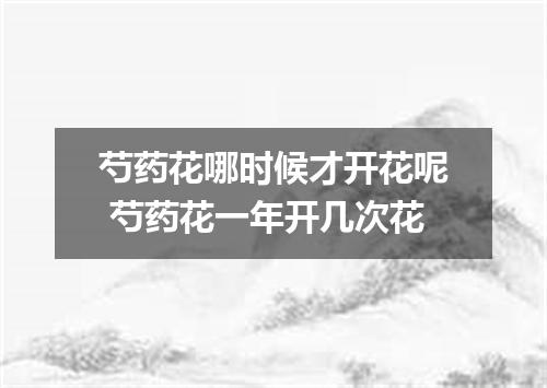 芍药花哪时候才开花呢 芍药花一年开几次花