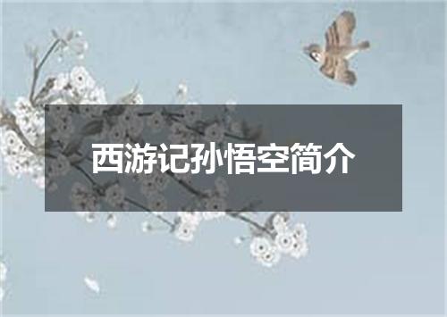 西游记孙悟空简介