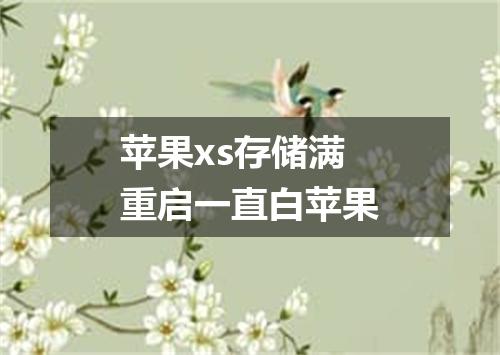 苹果xs存储满重启一直白苹果