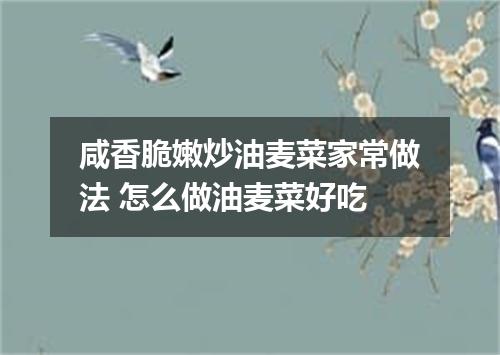 咸香脆嫩炒油麦菜家常做法 怎么做油麦菜好吃