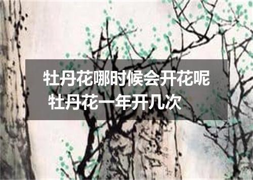牡丹花哪时候会开花呢 牡丹花一年开几次