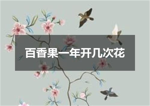 百香果一年开几次花