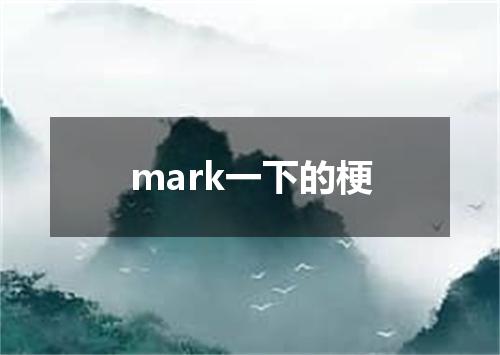 mark一下的梗