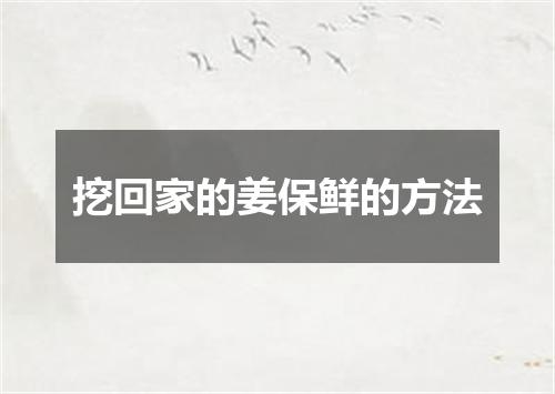 挖回家的姜保鲜的方法