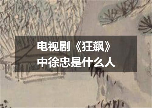 电视剧《狂飙》中徐忠是什么人